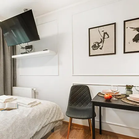 Stylowe W Centrum Apartment